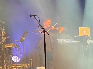 Midge Violin